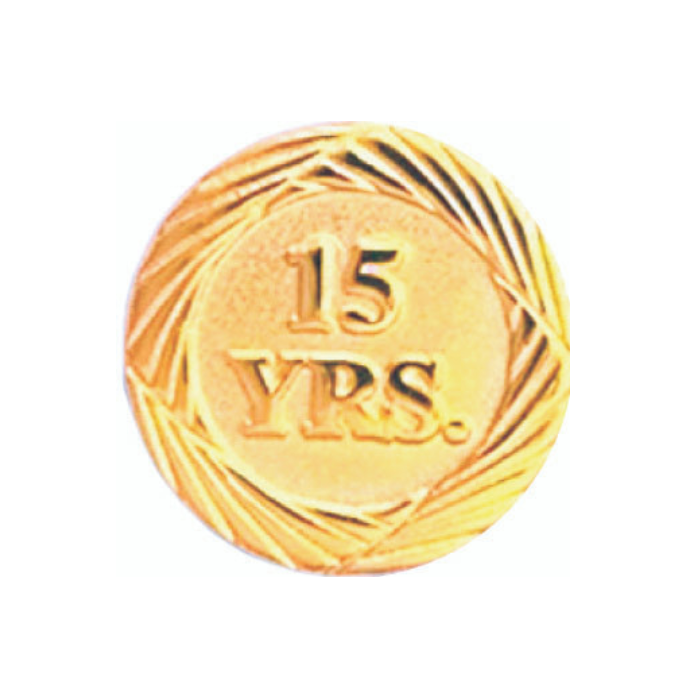 15 Year Anniversary Lapel Pin