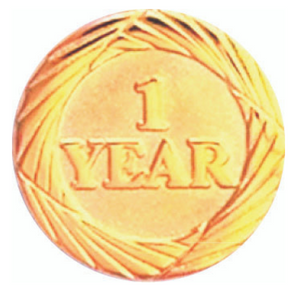 1 Year Anniversary Lapel Pin