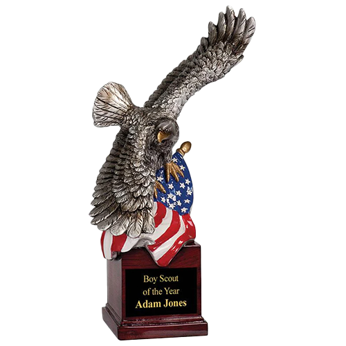 Flying Eagle and Flag Award