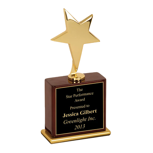 Gold Star Award