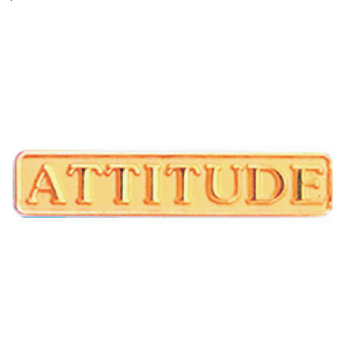 Attitude Lapel Pin