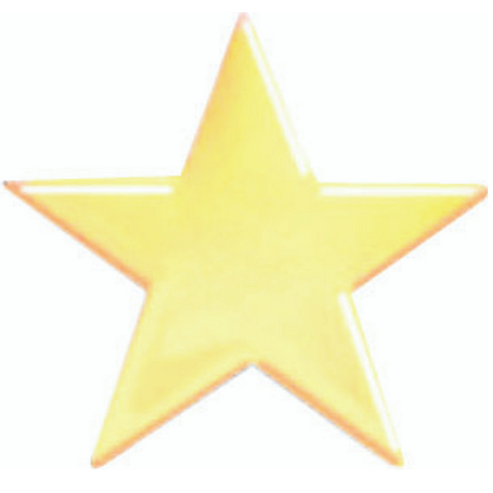 Star Lapel Pin